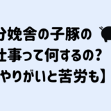 分娩舎の子豚の仕事とは？分割授乳から去勢まで、やりがいと苦労も解説