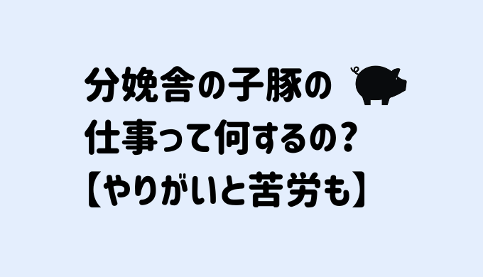 分娩舎の子豚の仕事って何するの？【やりがいと苦労も】
